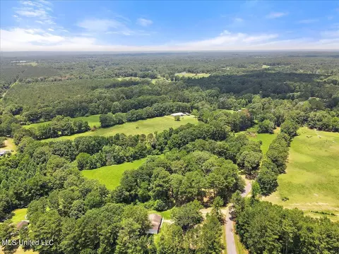 View/Area - 119 Fox Run Dr, Mendenhall, MS 39114 photo 5 of 15