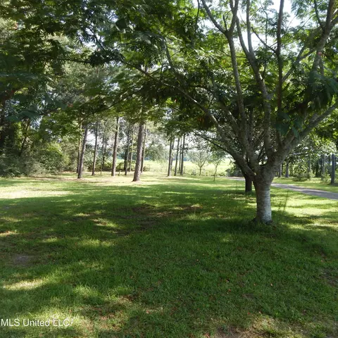 195 Ellis Hodge, Lucedale, MS 39452 photo 12