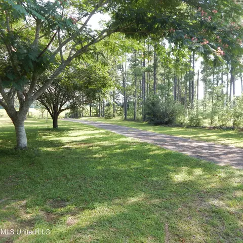 195 Ellis Hodge, Lucedale, MS 39452 photo 11