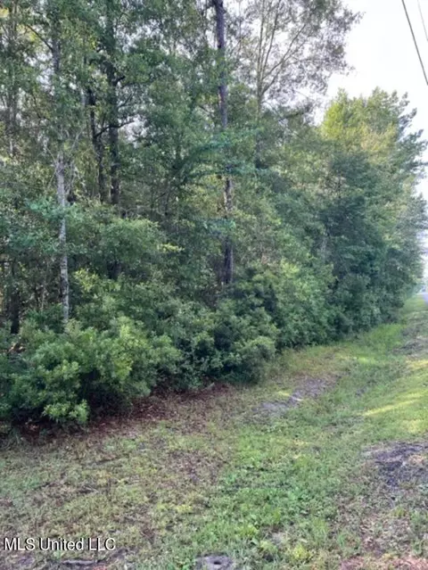 0000 Mitchell Rd, Picayune, MS 39466 photo 4