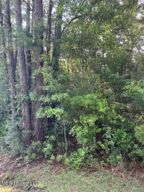 0000 Mitchell Rd, Picayune, MS 39466 photo 3