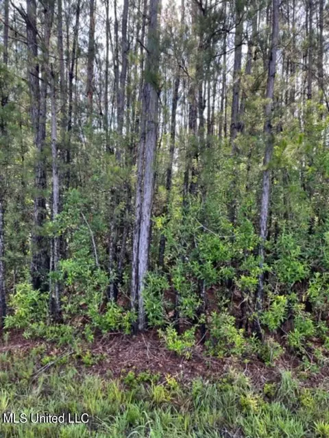0000 Mitchell Rd, Picayune, MS 39466 photo 2