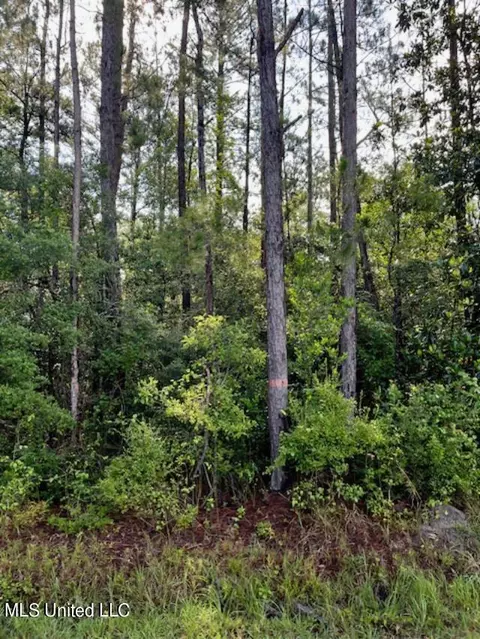 0000 Mitchell Rd, Picayune, MS 39466 photo 5