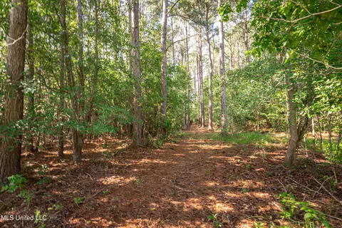 19469 Bell Ln, Saucier, MS 39574 photo 51