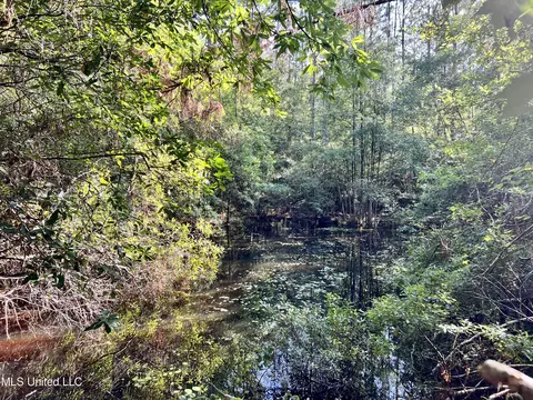 19469 Bell Ln, Saucier, MS 39574 photo 82