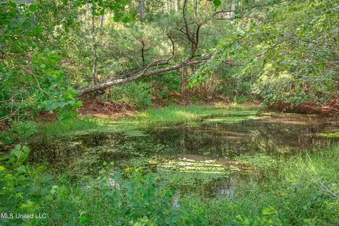 19469 Bell Ln, Saucier, MS 39574 photo 54
