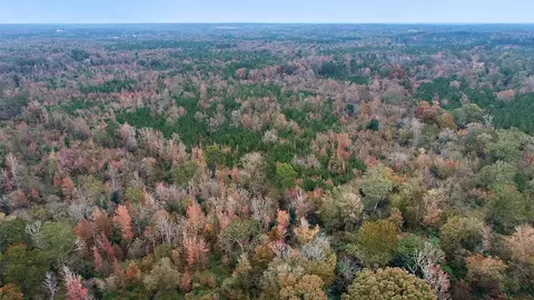 64 2 Ac Highway 540, Braxton, MS 39044 photo 5