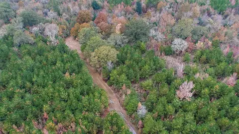 64 2 Ac Highway 540, Braxton, MS 39044 photo 9