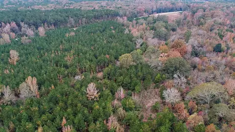64 2 Ac Highway 540, Braxton, MS 39044 photo 8