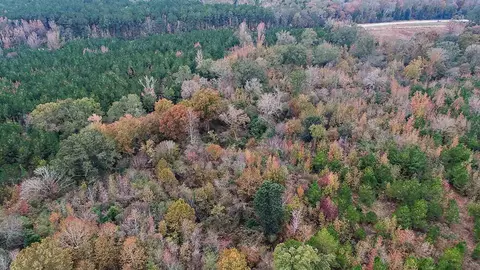64 2 Ac Highway 540, Braxton, MS 39044 photo 7