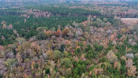 64 2 Ac Highway 540, Braxton, MS 39044 photo 6