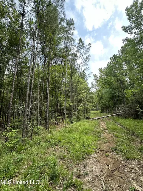 73 Pelahatchie Rd, Pelahatchie, MS 39145