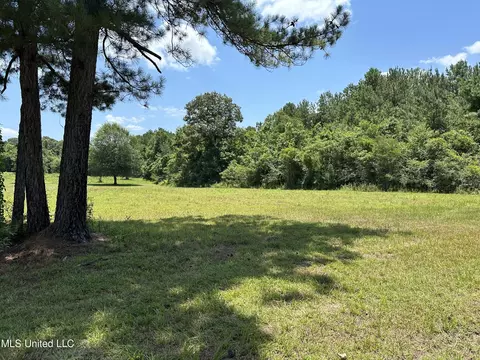 Flynn Road, Poplarville, MS 39470