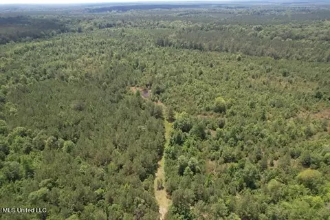 County Road 290, Pachuta, MS 39347