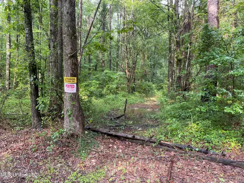 0 Haynes Chapel Rd, Pelahatchie, MS 39145