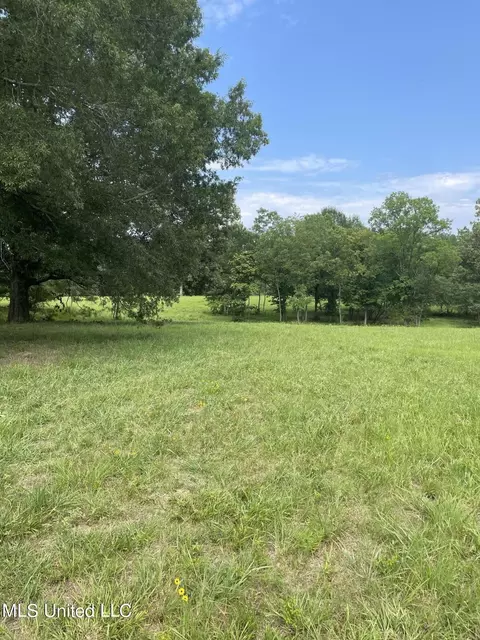 No Terry Lane, Senatobia, MS 38668