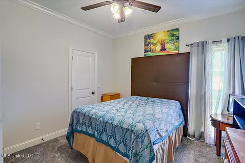 149 Glenwild Trl, Canton, MS 39046 photo 19