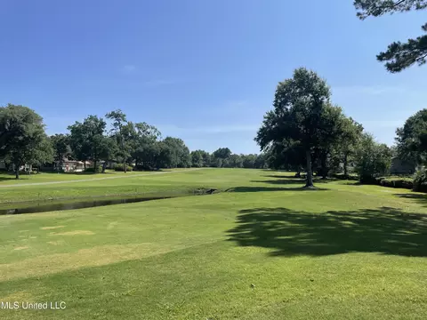 688 Auahi Pl, Diamondhead, MS 39525 photo 3