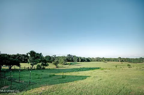 940 Cooper Rd, Magee, MS 39111 photo 4
