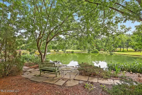 438 Stokes Rd, Flora, MS 39071 photo 8