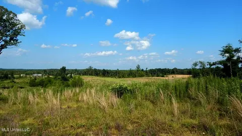 15 Quitman Rd, Grenada, MS 38901 photo 3