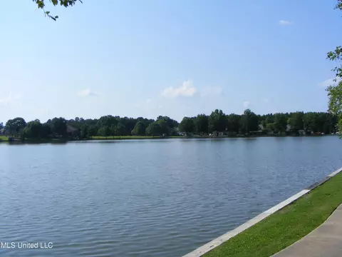 761 Danforth Dr, Madison, MS 39110 photo 31