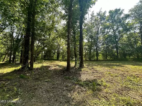 2 Ac Shell Cracker Ln, Leakesville, MS 39451 photo 13