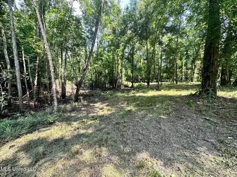 2 Ac Shell Cracker Ln, Leakesville, MS 39451 photo 11
