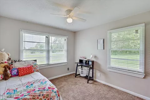 448 New Hope Rd, Mount Olive, MS 39119 photo 18