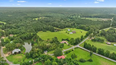 448 New Hope Rd, Mount Olive, MS 39119 photo 28