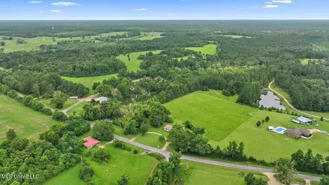 448 New Hope Rd, Mount Olive, MS 39119 photo 30