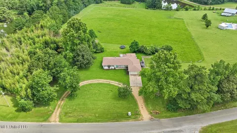 448 New Hope Rd, Mount Olive, MS 39119 photo 23