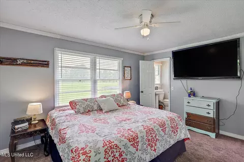 448 New Hope Rd, Mount Olive, MS 39119 photo 15