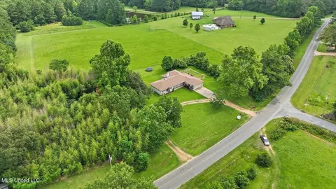 448 New Hope Rd, Mount Olive, MS 39119 photo 24