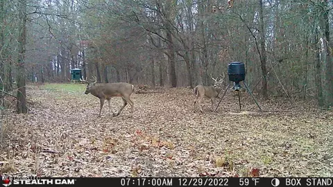 Dresback Road, Gunnison, MS 38746 photo 3