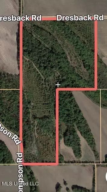 Dresback Road, Gunnison, MS 38746