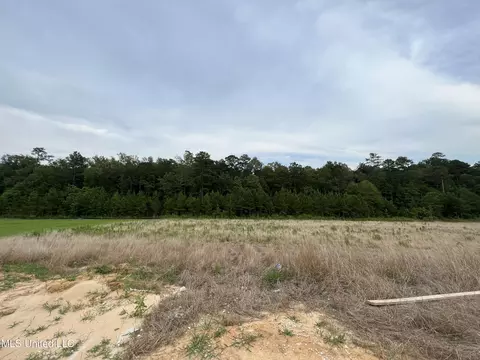 114 Landry Dr, Brandon, MS 39047 photo 28
