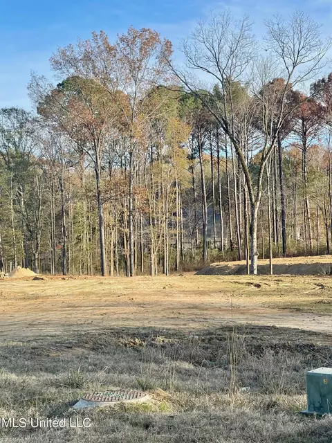 Whittington Circle, Madison, MS 39110