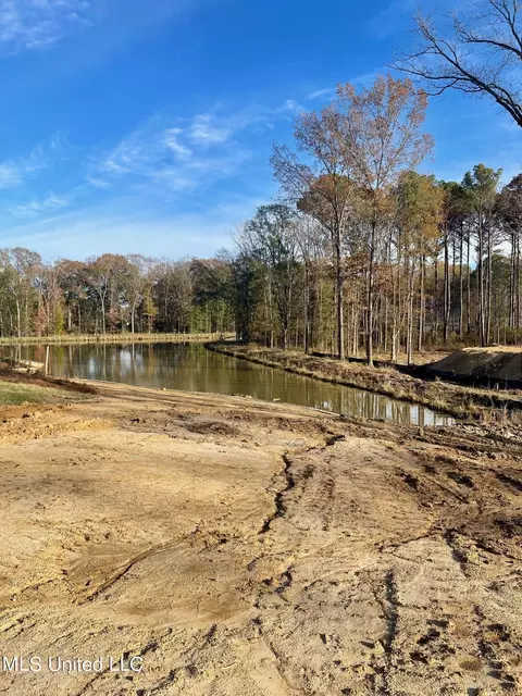 Whittington Circle, Madison, MS 39110 photo 2