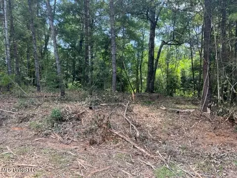 River Walk, Vancleave, MS 39565 photo 2