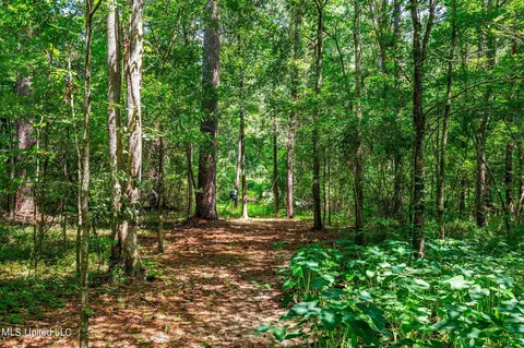 651 Oak Ridge Rd, Brandon, MS 39042 photo 27