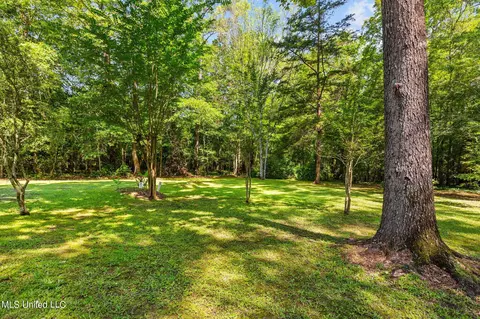 651 Oak Ridge Rd, Brandon, MS 39042 photo 23
