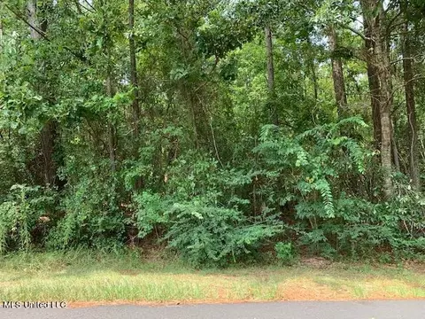 Ridgeview Drive, Carriere, MS 39426
