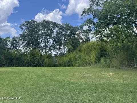 537 Trickhambridge Rd, Brandon, MS 39042 photo 4