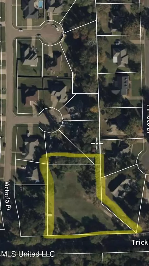 537 Trickhambridge Rd, Brandon, MS 39042 photo 8