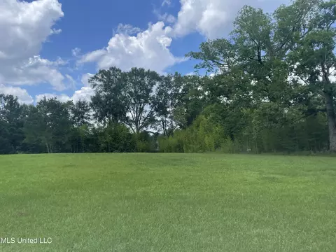 537 Trickhambridge Rd, Brandon, MS 39042 photo 5