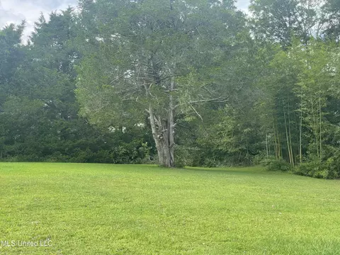 537 Trickhambridge Rd, Brandon, MS 39042 photo 3