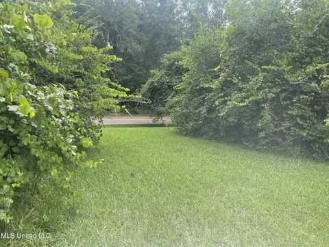 537 Trickhambridge Rd, Brandon, MS 39042 photo 6