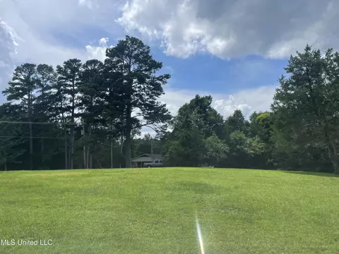 537 Trickhambridge Rd, Brandon, MS 39042 photo 2