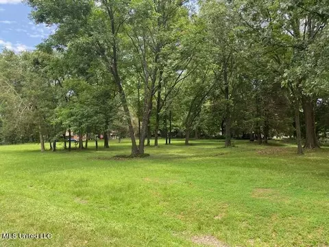 1390 Broady Rd, Nesbit, MS 38651 photo 2